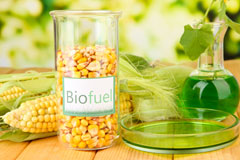 Plains biofuel availability